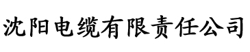 乐享影院电缆厂logo